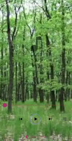 Play Forest Sound as an online game online Forest Sound with UptoPlay Play Forest Sound as an online game Forest Sound with UptoPlay