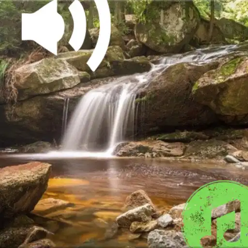 Play Forest Sounds Nature Relax APK