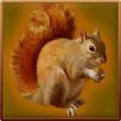 Free play online Forest Squirrel Simulator APK Free play online Forest Squirrel Simulator APK