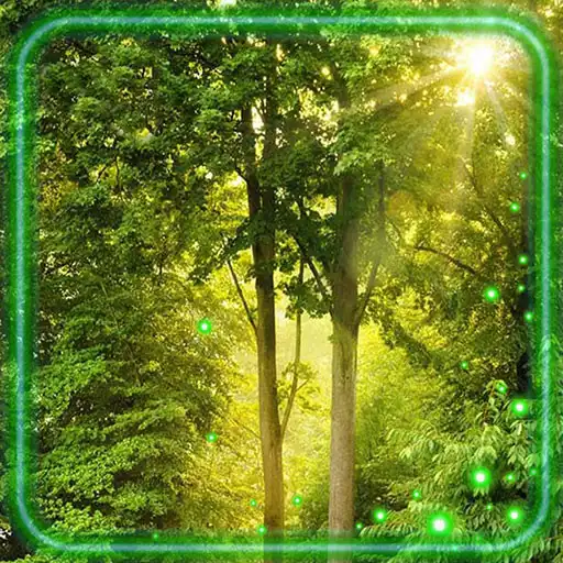 Play Forest Summer HD APK Play Forest Summer HD APK