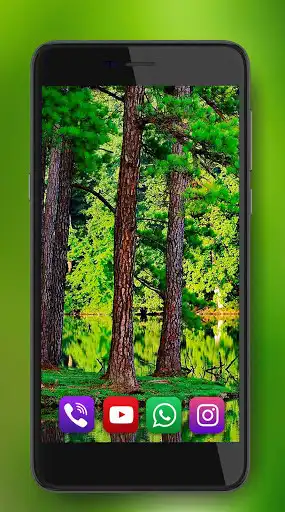 Play Forest Summer HD  and enjoy Forest Summer HD with UptoPlay