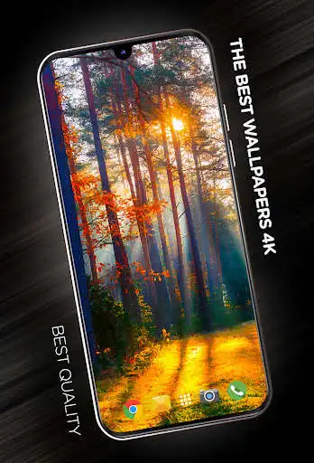 Play Forests wallpaper in 4K  and enjoy Forests wallpaper in 4K with UptoPlay