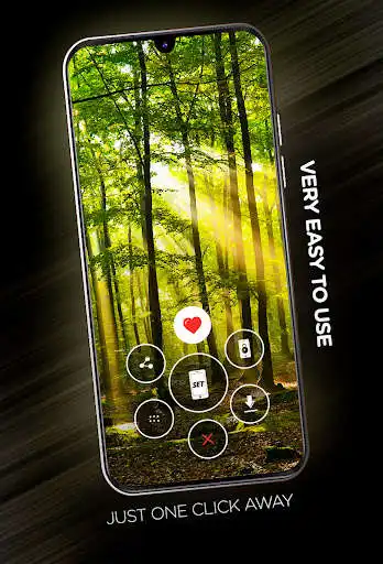 Play Forests wallpaper in 4K as an online game Forests wallpaper in 4K with UptoPlay