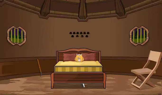 Play Forest Tortoise Rescue