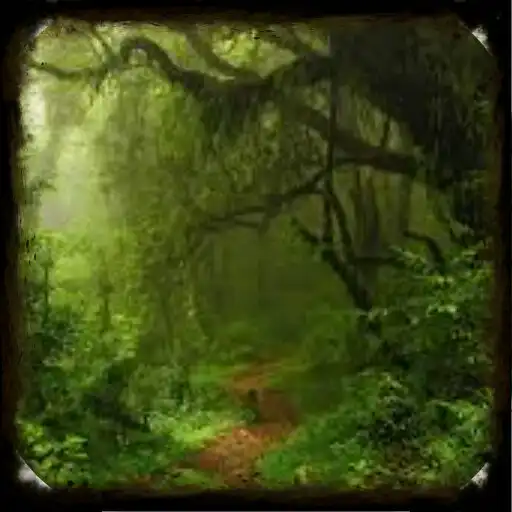 Play Forest Wallpapaer Hutan 4K APK Play Forest Wallpapaer Hutan 4K APK