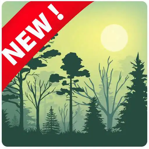 Play Forest Wallpaper 4K APK Play Forest Wallpaper 4K APK