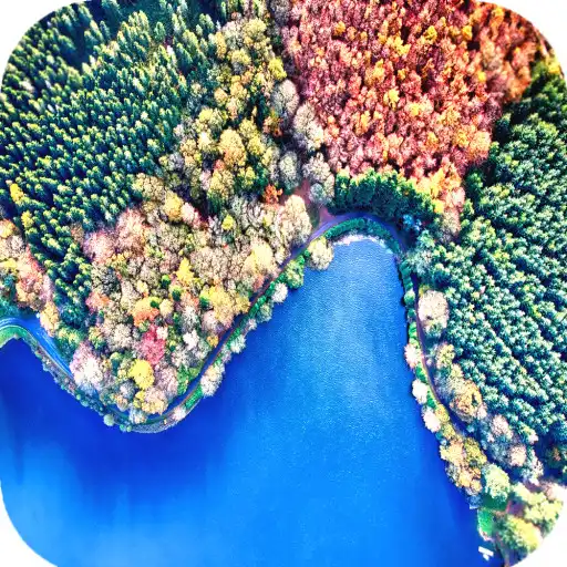 Play Forest Wallpaper HD APK