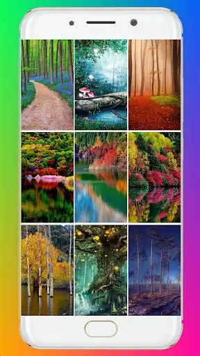 Play Forest Wallpaper HD and enjoy Forest Wallpaper HD with UptoPlay Play Forest Wallpaper HD and enjoy Forest Wallpaper HD with UptoPlay