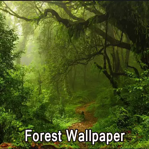 Play Forest Wallpaper APK Play Forest Wallpaper APK