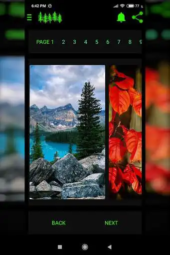 Play Forest Wallpapers HD  and enjoy Forest Wallpapers HD with UptoPlay