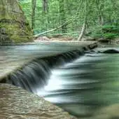 Free play online Forest Water Live Wallpaper APK