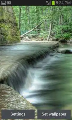 Play Forest Water Live Wallpaper Play Forest Water Live Wallpaper