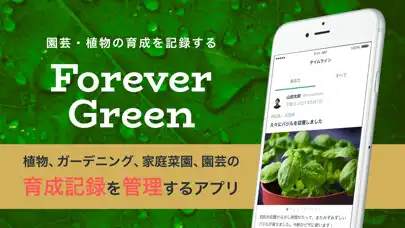 Play Forever Green  and enjoy Forever Green with UptoPlay
