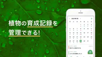 Play Forever Green as an online game Forever Green with UptoPlay