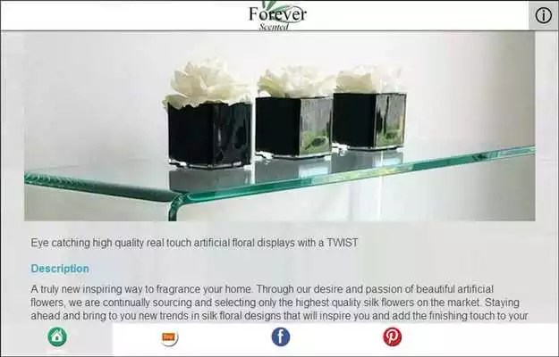 Play Forever Scented