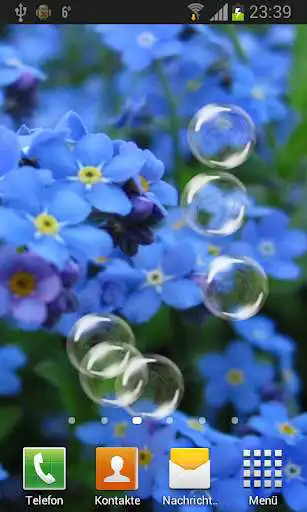 Play Forget-me-not Live Wallpaper  and enjoy Forget-me-not Live Wallpaper with UptoPlay