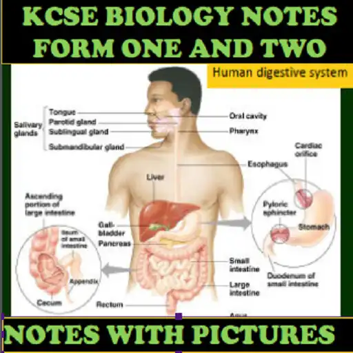 Play Form 1 And 2 Biology Notes APK Play Form 1 And 2 Biology Notes APK