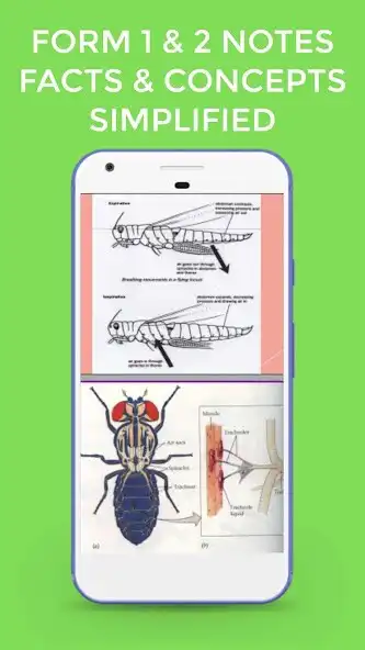 Play Form 1 And 2 Biology Notes  and enjoy Form 1 And 2 Biology Notes with UptoPlay