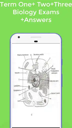 Play Form 2 Biology Exams + Answers as an online game Form 2 Biology Exams + Answers with UptoPlay