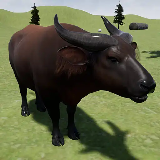 Play Forrest Buffalo Cow Simulator APK