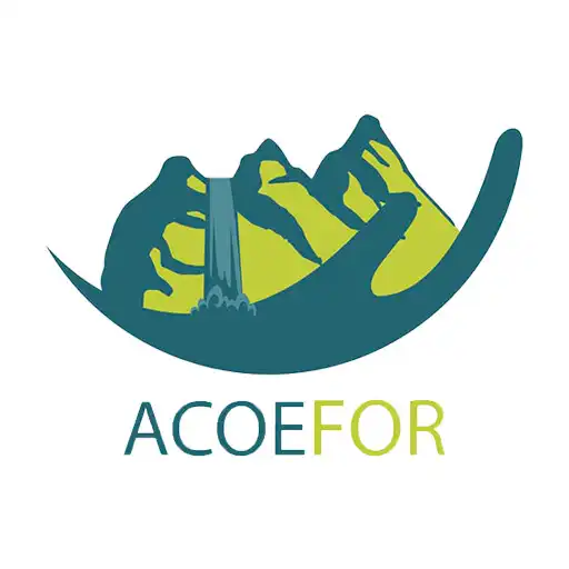 Play Fortuna Comercio APK