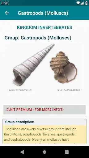 Play Fossils - Handbook of Fossils  and enjoy Fossils - Handbook of Fossils with UptoPlay