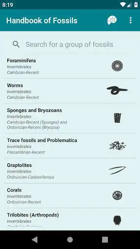Play Fossils - Handbook of Fossils as an online game Fossils - Handbook of Fossils with UptoPlay