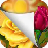 Free play online Foto Change Wallpaper APK