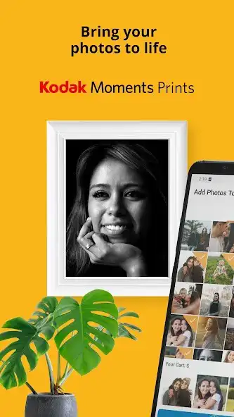 Play Foto Impresiones: 1 Hr Photo as an online game Foto Impresiones: 1 Hr Photo with UptoPlay