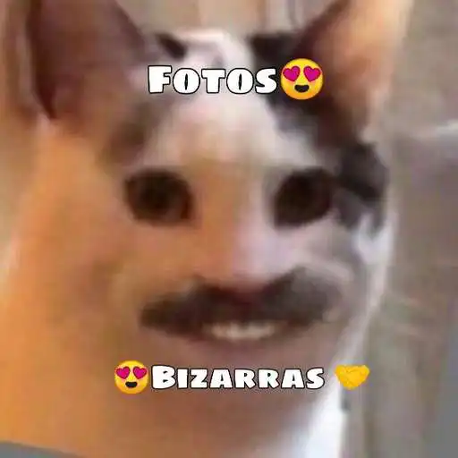 Play Fotos Bizarras APK Play Fotos Bizarras APK