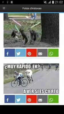 Play Fotos chistosas Play Fotos chistosas