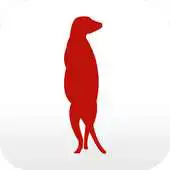 Free play online FOTOZINO mobility and free APK