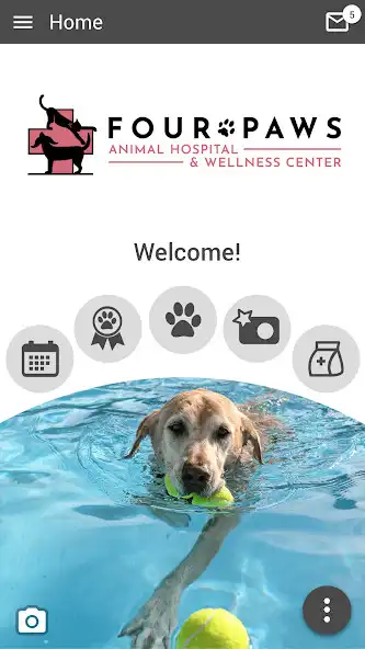 Play Four Paws AHWC  and enjoy Four Paws AHWC with UptoPlay