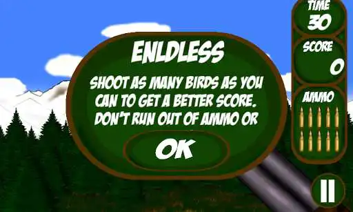Play Fowl Hunter Extreme