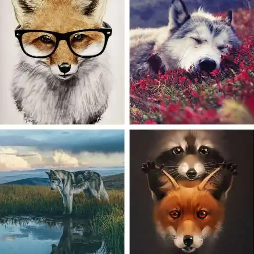 Play Fox HD Wallpapers APK Play Fox HD Wallpapers APK