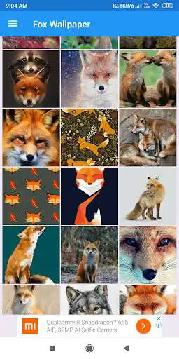 Play Fox HD Wallpapers  and enjoy Fox HD Wallpapers with UptoPlay
