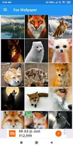 Play Fox HD Wallpapers as an online game Fox HD Wallpapers with UptoPlay
