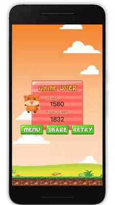 Play Fox Hop Play Fox Hop