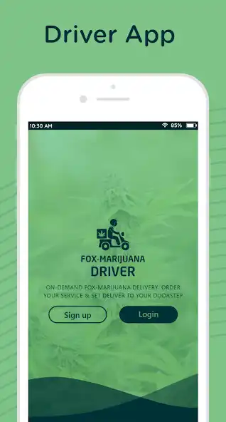 Play Fox-Marijuana Driver App  and enjoy Fox-Marijuana Driver App with UptoPlay