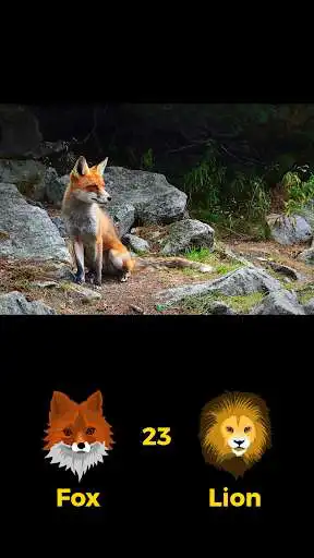 Play Fox or Lion as an online game Fox or Lion with UptoPlay