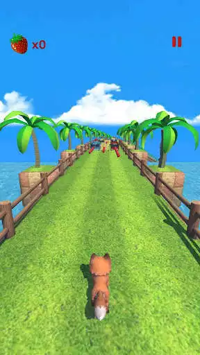 Play Fox Rush and enjoy Fox Rush with UptoPlay Play Fox Rush and enjoy Fox Rush with UptoPlay