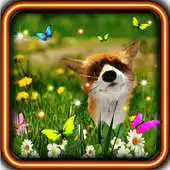 Free play online Fox Small Cute live wallpaper APK
