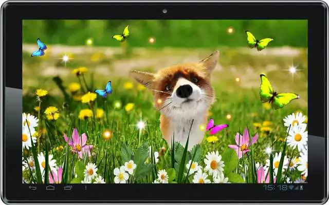 Play Fox Small Cute live wallpaper