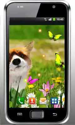 Play Fox Small Cute live wallpaper