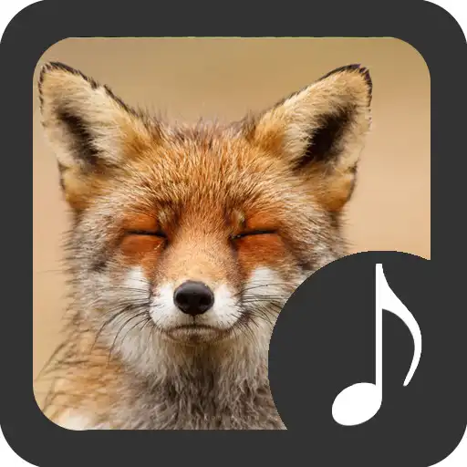 Play Fox Sounds APK Play Fox Sounds APK
