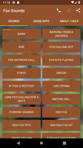 Play Fox Sounds  and enjoy Fox Sounds with UptoPlay