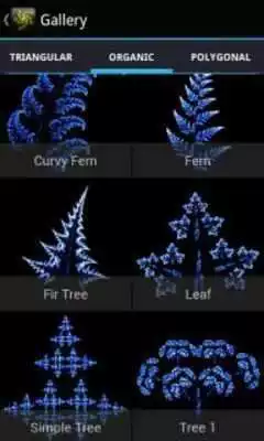 Play Fractal Designer