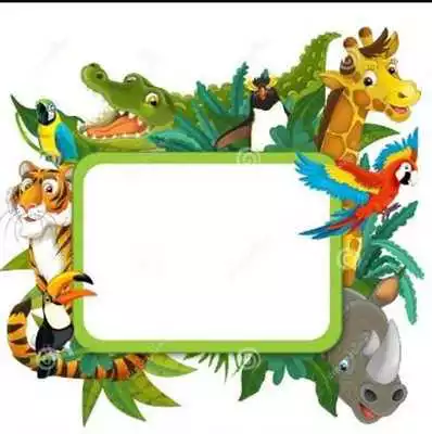 Play Frame Design