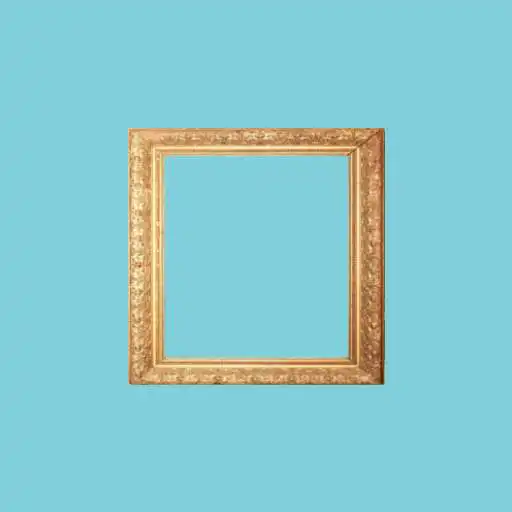 Play Framed Image Viewer Exercise APK