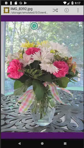 Play Framed Image Viewer Exercise and enjoy Framed Image Viewer Exercise with UptoPlay Play Framed Image Viewer Exercise and enjoy Framed Image Viewer Exercise with UptoPlay